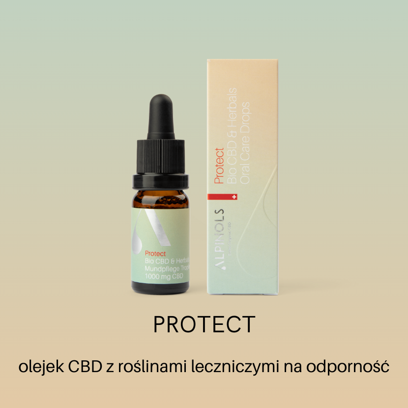 olejek CBD z roślinami leczniczymi na odporność