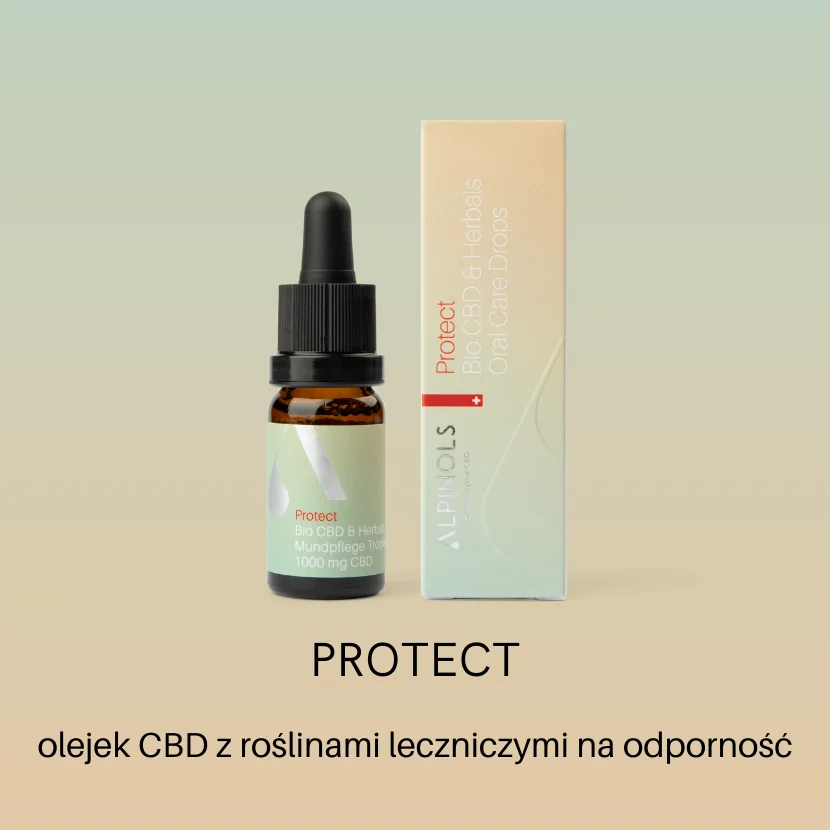 olejek CBD z roślinami leczniczymi na odporność