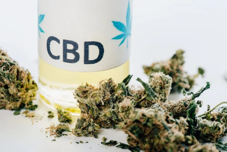 CBD leżące na stole obok naturalnych konopii